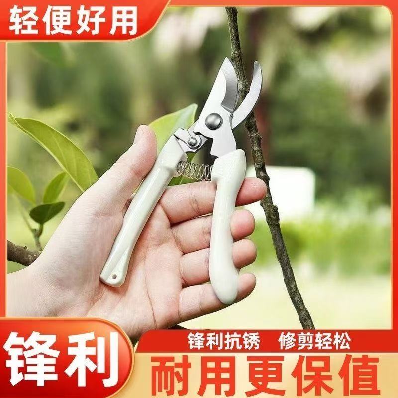 不锈钢强力修枝剪园林果树修剪