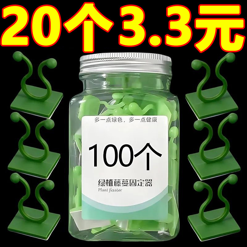 绿萝爬墙无痕挂钩固定卡