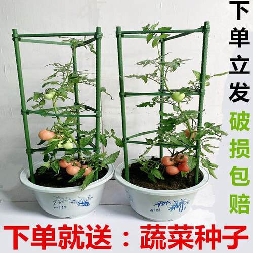 瓜棚架攀爬素材模板 瓜棚架攀爬图片下载 小麦优选