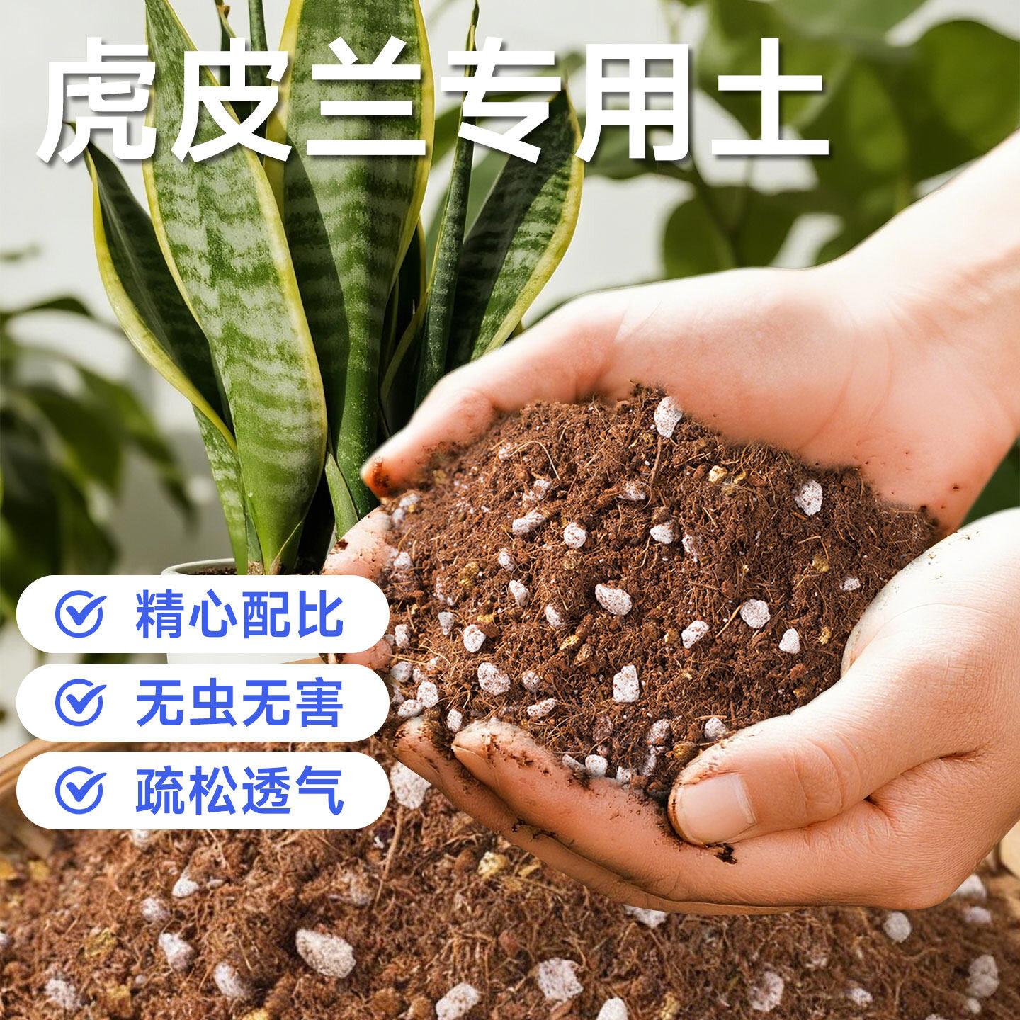 虎皮兰专用营养土家用阳台种植盆栽土保水保肥透气防烂根有机土壤
