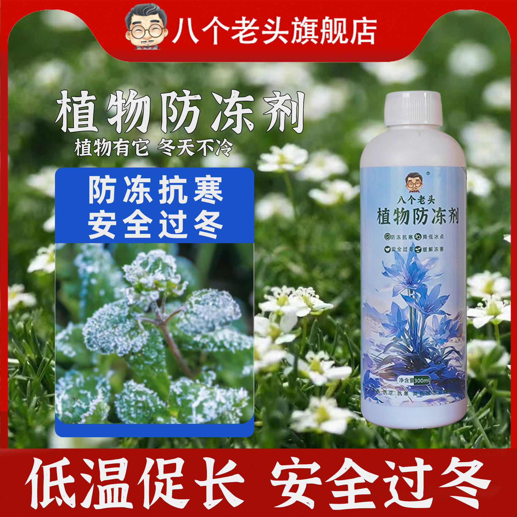 植物专用防冻剂通用型花卉果蔬苗木防寒抗冻安全过冬修复预防冻坏