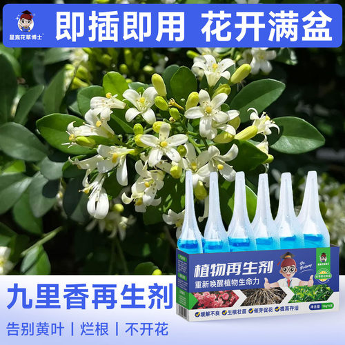 九里香专用肥料植物再生剂家用盆栽种植营养液花卉通用花肥开花剂