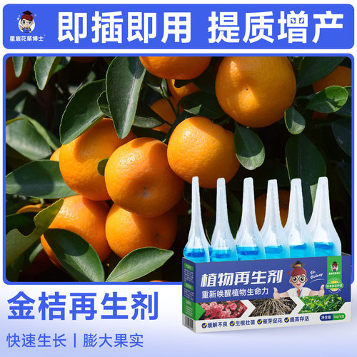 金桔专用肥料植物再生剂盆栽种植营养液橘子增产果实膨大通用花肥
