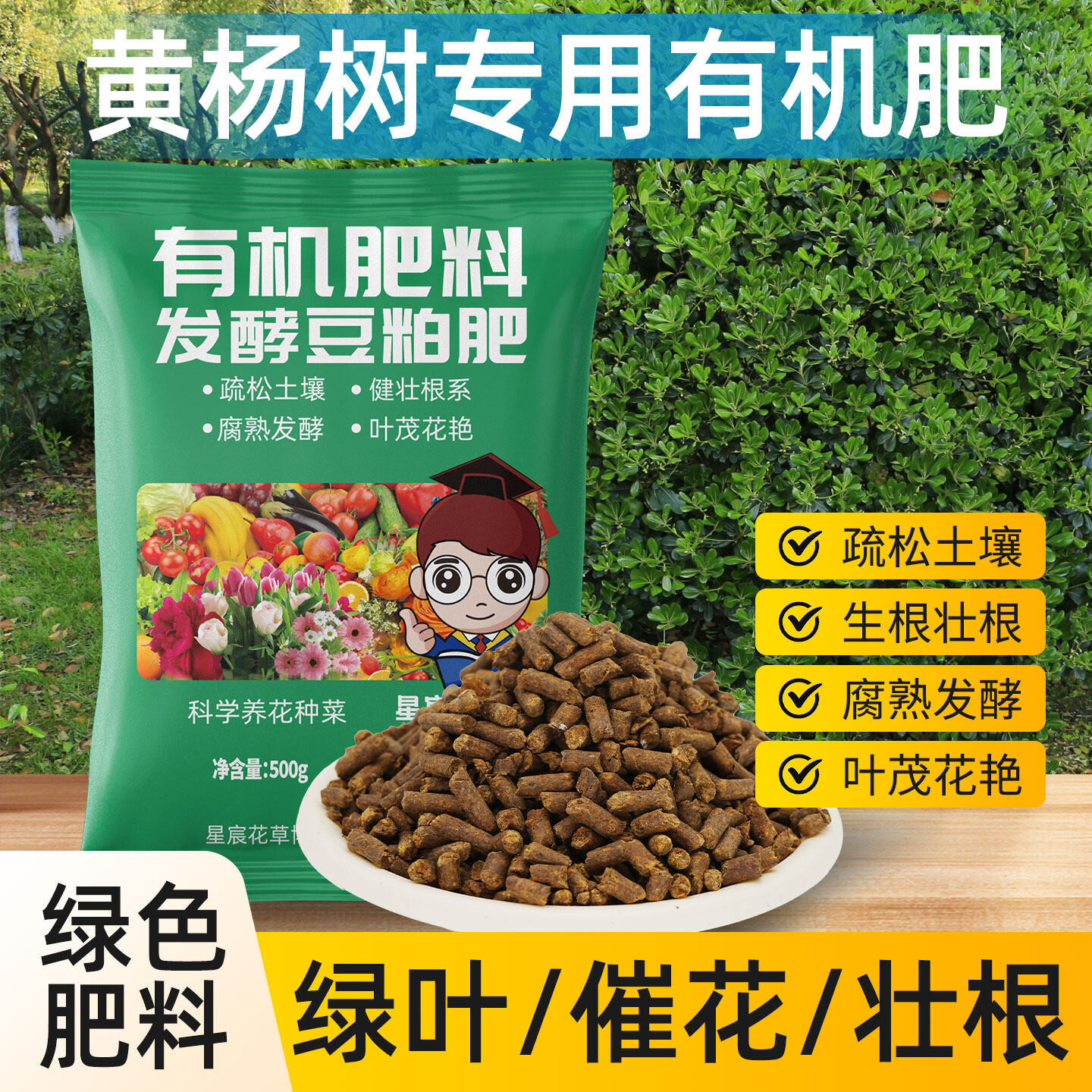 黄杨树专用发酵有机豆粕肥家用庭院树木种植叶片油绿通用颗粒肥料