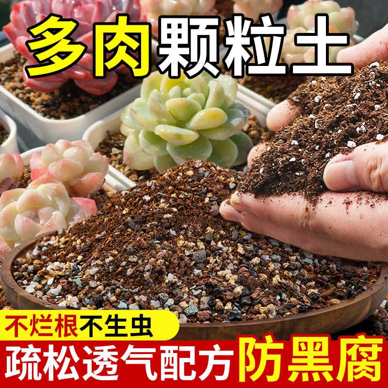 多肉专用颗粒土花土种养肉肉植物营养土扦插小苗老桩泥炭种植土壤