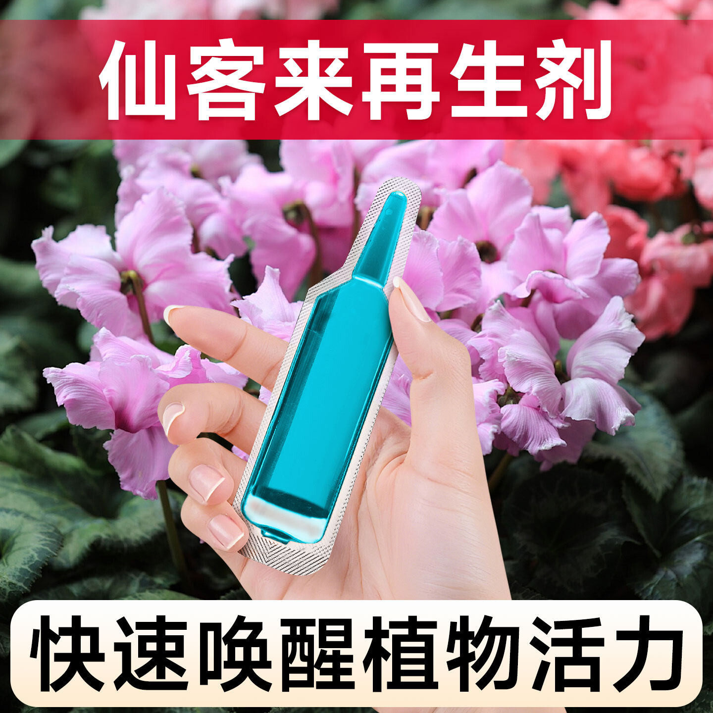 仙客来专用通用植物再生剂家用有机营养液盆栽种植花卉促开花肥料