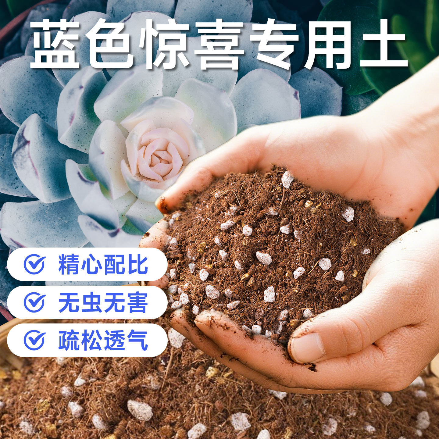 蓝色惊喜专用通用营养土养多肉用的土有机泥土防烂根盆栽种植花土