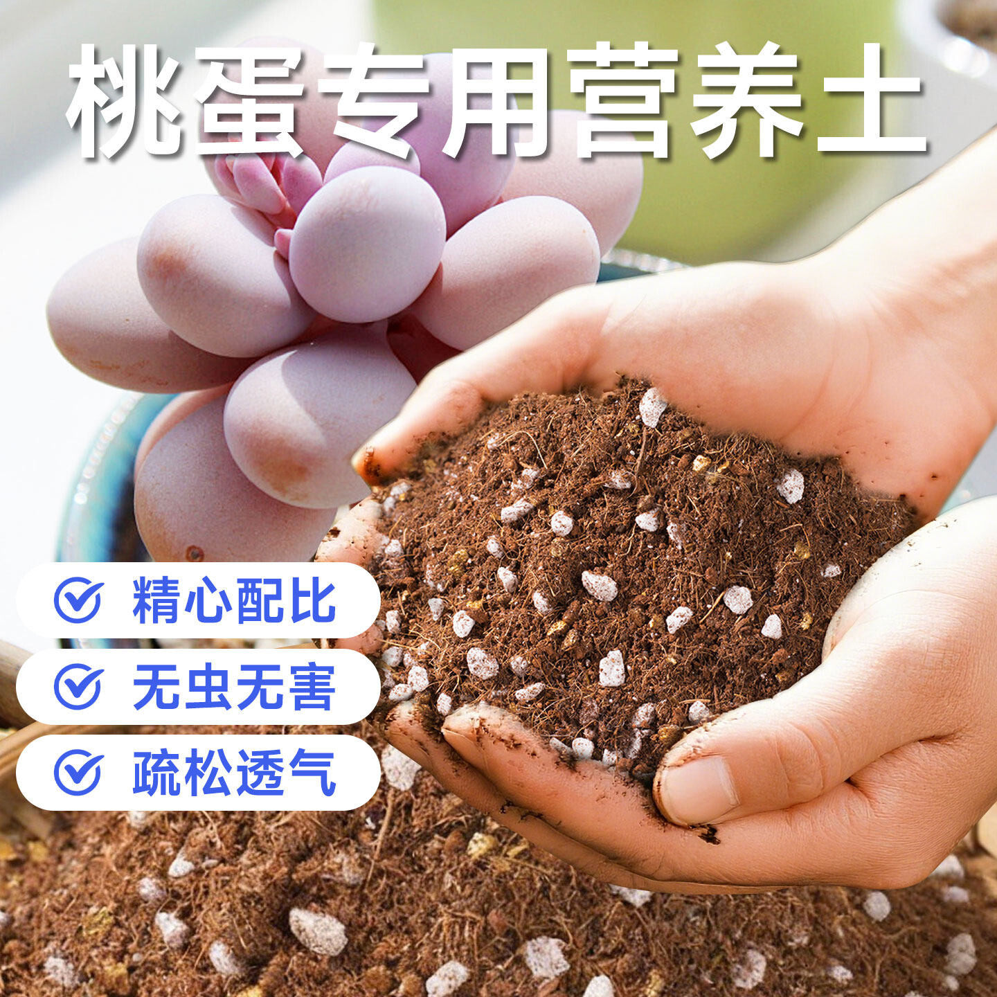 桃蛋营养土多肉通用专用种植土家用防烂根盆栽换盆用土壤有机泥土