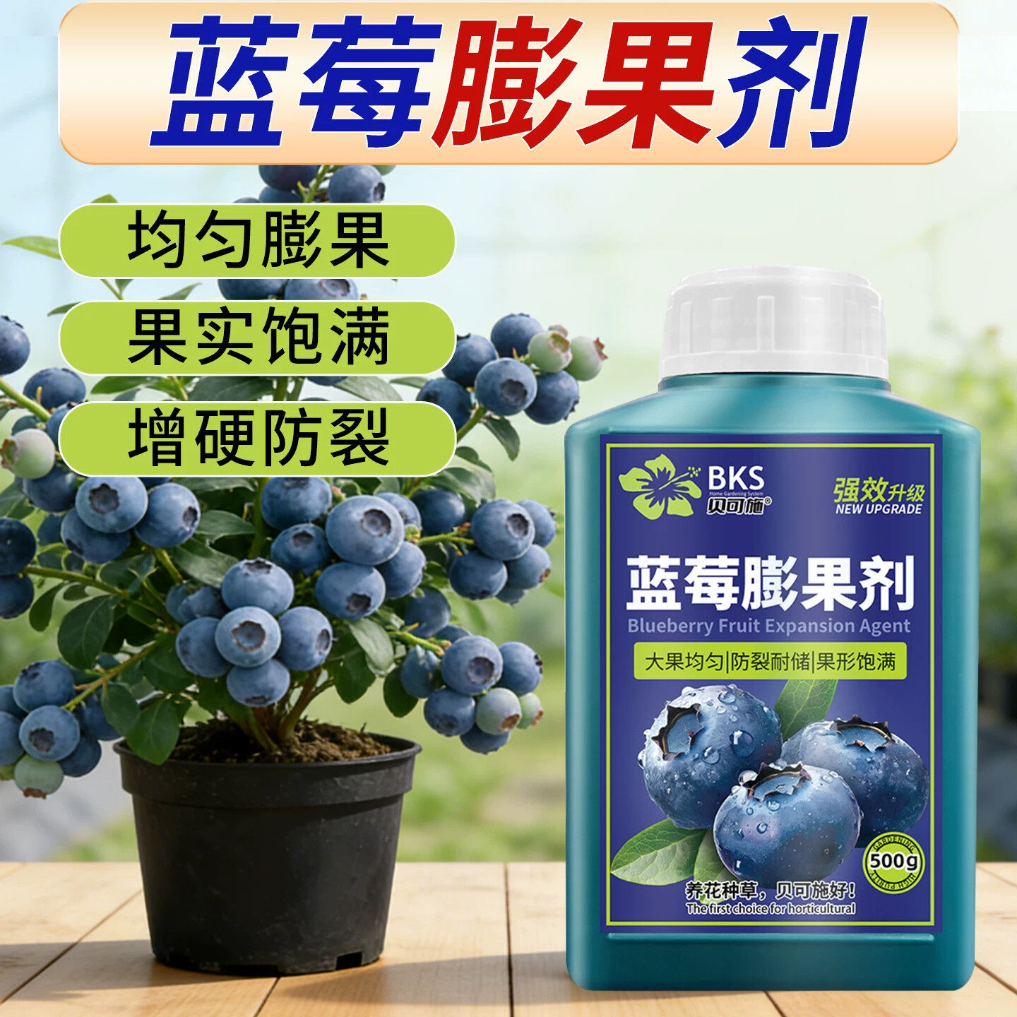 贝可施蓝莓膨果剂大果均匀防裂耐储果型饱满家庭阳台盆栽蓝莓专用