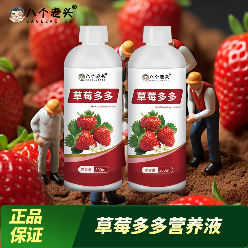 草莓专用肥防黄叶催开花促结果生根壮苗提质增产膨大果实液体肥料