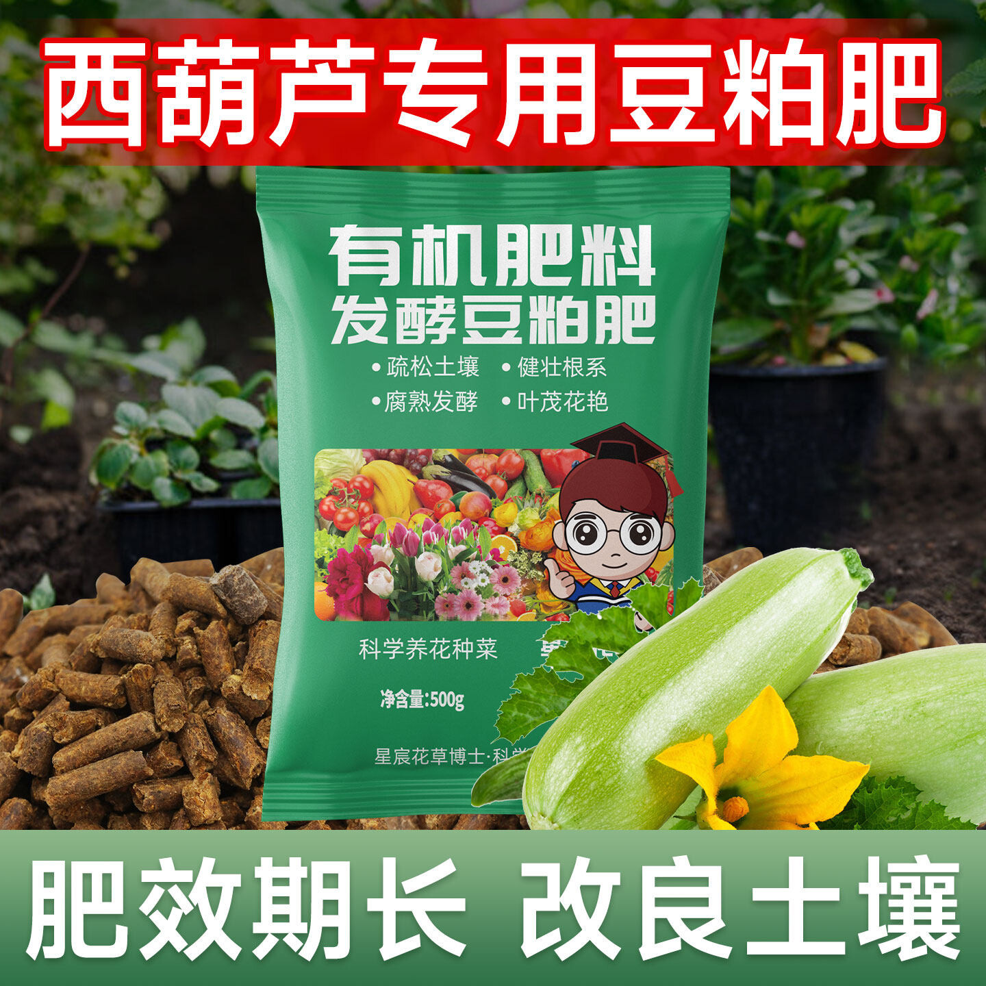 西葫芦专用肥料家用豆粕发酵天然有机肥增产增收种菜通用型颗粒肥