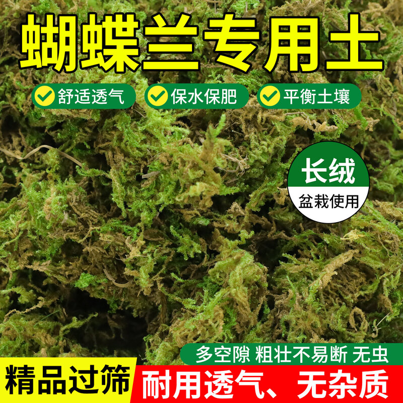 干苔藓天然优质青苔石斛兰花种植土爬宠乌龟垫材蝴蝶兰花专用水苔