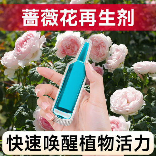 蔷薇花专用肥料植物再生剂浓缩营养液盆栽种植花卉剂开花通用肥料