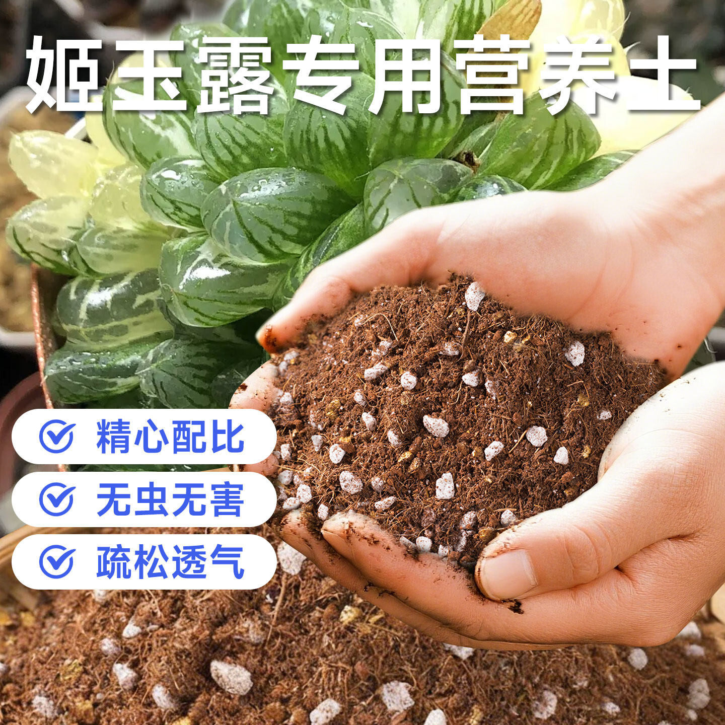 姬玉露有机土多肉营养土养花专用通用盆栽种植塑形防徒长泥土花土
