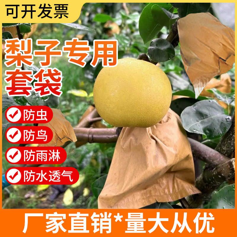 梨子套袋水果通用套袋果树防虫黄金梨套袋晚秋黄梨袋果袋秋月梨