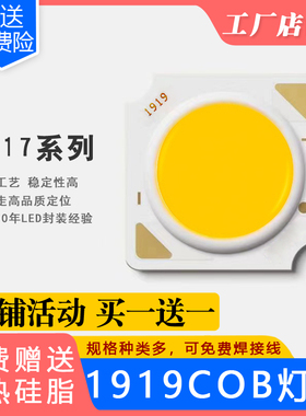 1919mm17mmCOB灯珠121518W20w24w30w36轨道射灯天花灯芯led配件