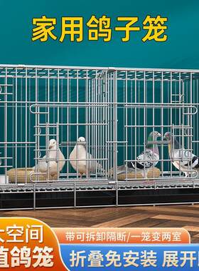 鸽子笼折叠养殖笼鸽子配对笼