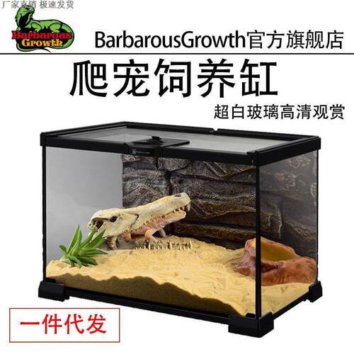 生态雨林爬宠缸宠物蛇专用蜥蜴