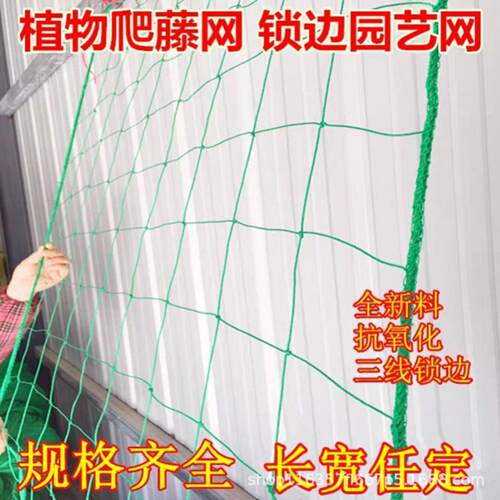 植物园艺专用爬藤网百香果丝瓜等