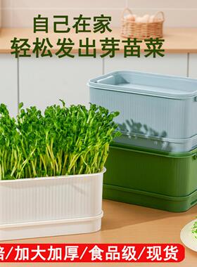 加大款育苗盘种植发芽盆黄绿豆芽