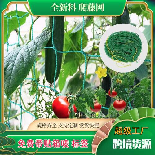 植物园艺爬藤网葡萄黄瓜盆景搭架