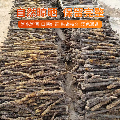 正宗新疆特等肉苁蓉切片中药材整根真品油性大芸野外生长多年老货