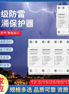 防雷电涌T1避雷器（10/350）一级4P12.5KA15KA25KA防雷浪涌保护