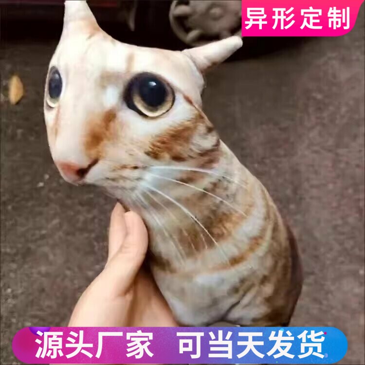 丑猫抱枕定制印照片定做异形玩偶宠物枕头猫狗仿真礼物靠枕靠垫子