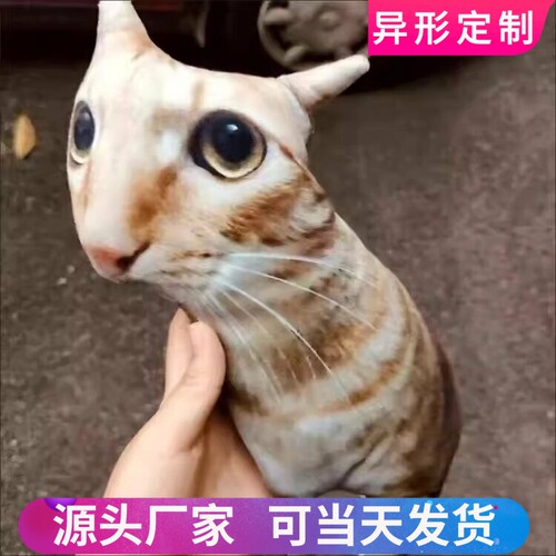 丑猫抱枕定制印照片定做异形玩偶宠物枕头猫狗仿真礼物靠枕靠垫子