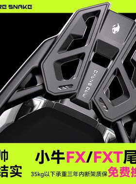 适用小牛FX FXT 金属后货架原车直上尾架载物架专用加宽后尾箱支