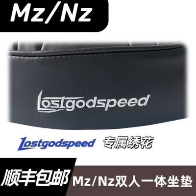 适用Lostgodsp配九号NZmi