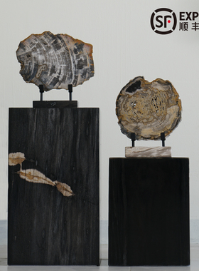 高档切片摆件树化石艺术装饰设计空间 轻奢饰品木化石博古架桌面