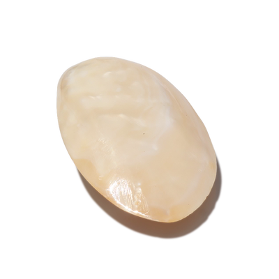 天然海螺贝壳珍珠贝把件送朋友小礼物家居装饰特色工艺品满包邮