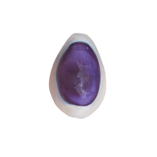 天然小海螺贝壳白边紫宝螺稀有收藏级标本螺橱窗设计装饰创意礼物