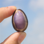 小海螺天然贝壳紫盖宝螺鱼缸装 螺贝艺 饰多肉盆栽微景观宝螺