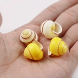 Натуральная раковина раковина Huangtian Bell Fish Tank Landscape Любимый Right Rotor Living Crab House, чтобы заменить ракушку