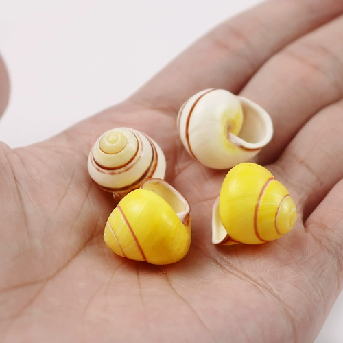 Натуральная раковина раковина Huangtian Bell Fish Tank Landscape Любимый Right Rotor Living Crab House, чтобы заменить ракушку