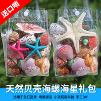 天然贝壳海螺壳摆件海星贝壳鱼缸水族箱地台造景儿童玩具礼物包邮