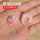 天然小海螺贝壳费里拉钟螺稀有收藏标本鱼缸装 饰水族造景寄居蟹壳