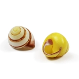 Натуральная раковина раковина Huangtian Bell Fish Tank Landscape Любимый Right Rotor Living Crab House, чтобы заменить ракушку