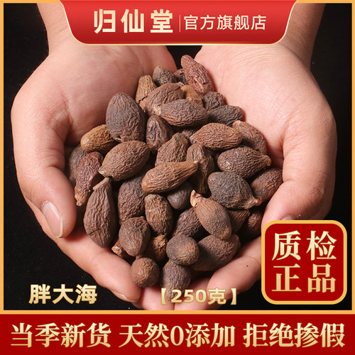 精选正品胖大海250g新货