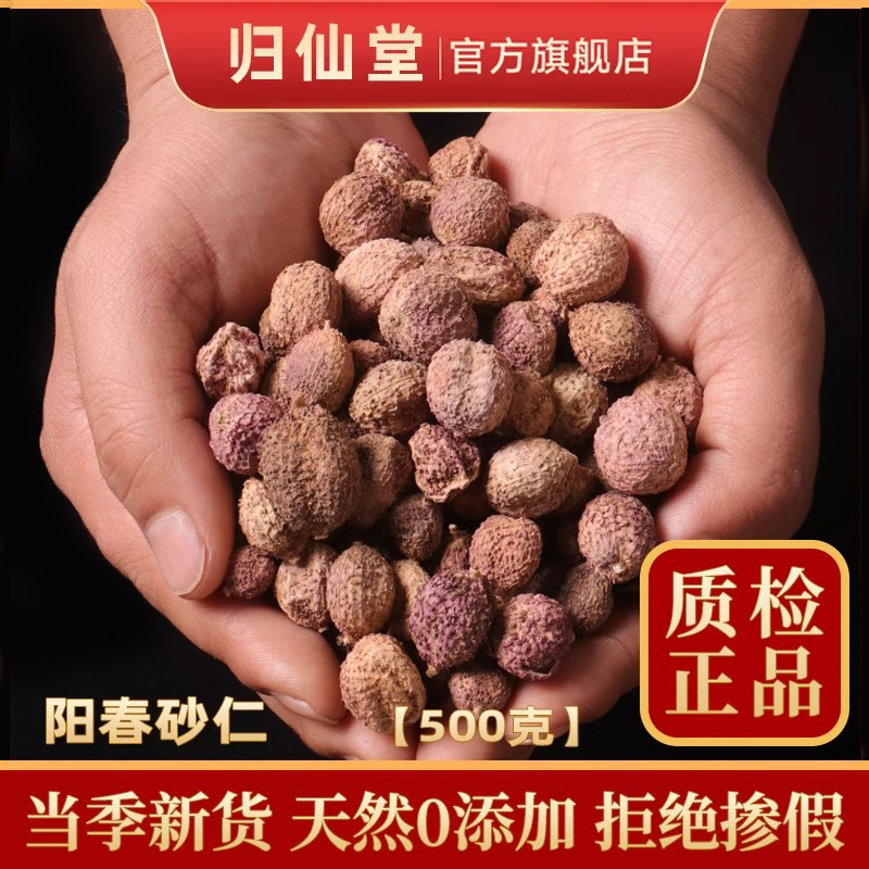 阳春春砂仁500g春砂仁野生春沙仁干果阳春特产中药材养胃煲汤蒸肉