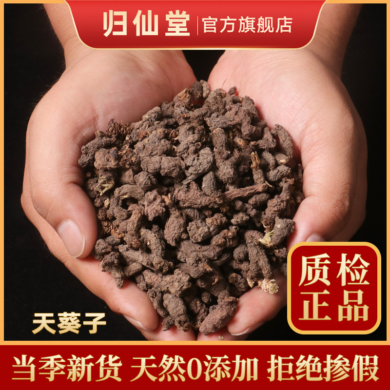 精选正品天葵子500g新货