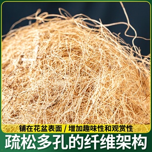 原产环保椰丝天然椰棕丝铺面椰壳丝园艺花店棕榈丝棕树皮鸡窝耐用