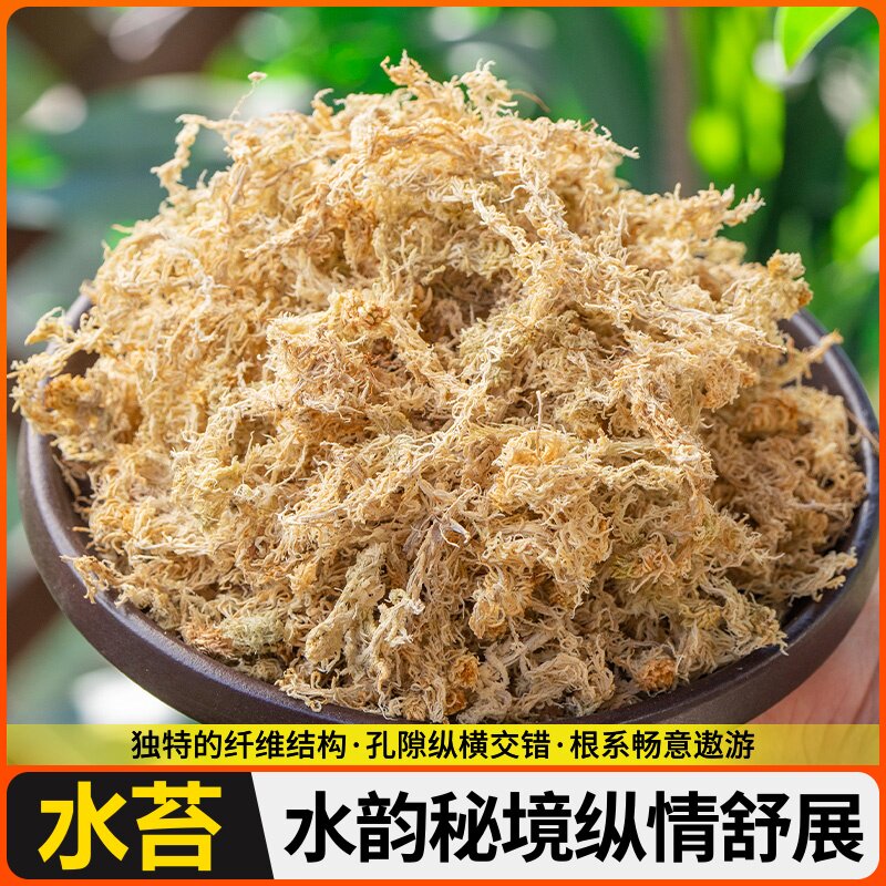 蝶兰土保苔花蝴保湿毛透气水苔毛虫干干植物用兰七星食虫基质苔藓