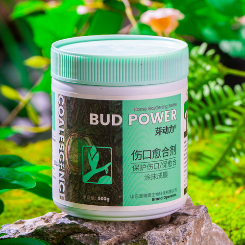植物伤口愈合剂树木盆景果树嫁接月季兰花剪枝花木切口修复涂抹膏