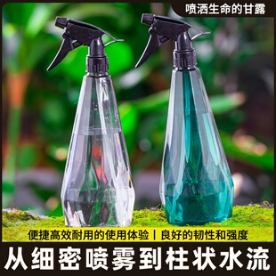 洒打药壶气压喷壶小型式消毒浇花养花喷喷雾高压水壶酒精家用水壶