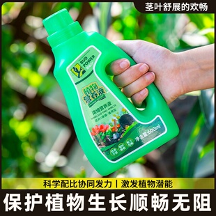 专用茶花植物家用喜酸植物栽肥促山盆肥料杜鹃营养茉莉茶花开花液