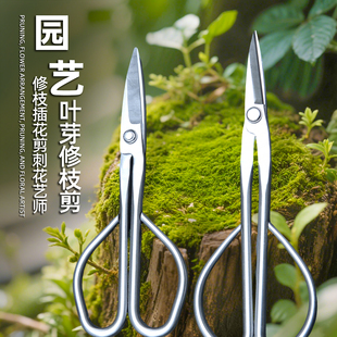 叶芽小枝剪盆景剪刀修剪芽剪园艺修枝专业花剪插花制作工具兰花剪