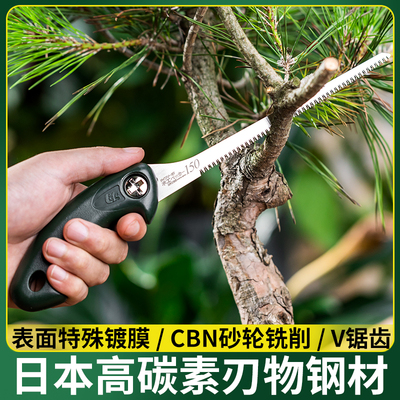 冈田盆景锯凤尾锯鸡尾锯